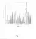 Fig. 02 - NUCLEIC ACID COMPOUNDS FOR INHIBITING BIRC5 GENE EXPRESSION AND USES THEREOF