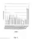 Fig. 06 - NUCLEIC ACID COMPOUNDS FOR INHIBITING BIRC5 GENE EXPRESSION AND USES THEREOF