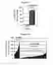 Fig. 07 - Centrosome proteins and uses thereof