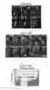 Fig. 44 - Centrosome proteins and uses thereof