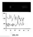 Fig. 28 - Automated Synthesis or Sequencing Apparatus and Method for Making and Using Same