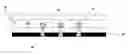 Fig. 01 - SINGLE MOLECULE DETECTION AND SEQUENCING USING FLUORESCENCE LIFETIME IMAGING