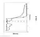 Fig. 09 - SINGLE MOLECULE DETECTION AND SEQUENCING USING FLUORESCENCE LIFETIME IMAGING