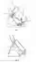 Fig. 08 - Mooring arrangement