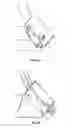 Fig. 12 - Mooring arrangement