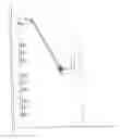 Fig. 01 - Resistance band exercise station