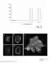 Fig. 04 - GENETIC ANALYSIS IN MICROWELLS