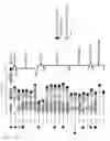 Fig. 22 - CARBOHYDRATE BINDING MODULE WITH AFFINITY FOR INSOLUBLE XYLAN