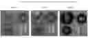 Fig. 01 - Lubricant Compositions