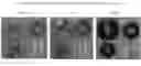 Fig. 02 - Lubricant Compositions