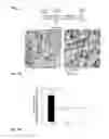 Fig. 08 - FUNCTIONAL METABOLOMICS COUPLED MICROFLUIDIC CHEMOTAXIS DEVICE AND IDENTIFICATION OF NOVEL CELL MEDIATORS