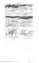 Fig. 14 - Plant-derived elastin binding protein ligands and methods of using the same