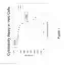 Fig. 02 - Use of Induced Pluripotent Cells and other Cells for Screening Compound Libraries