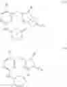 Fig. 02 - Pyrimidines