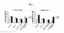 Fig. 06 - Method for treating schizophrenia and related diseases