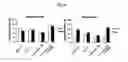 Fig. 07 - Method for treating schizophrenia and related diseases
