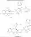 Fig. 32 - Tetrahydronaphthalene derivatives