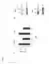 Fig. 15 - Identification of a novel repressor on IFN-lambda promoter and siRNA against ZEB1 and BLIMP-1 to increase IFN-lambda gene activity