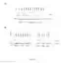 Fig. 08 - UBIQUITIN SPECIFIC PROTEASES RESPONSIBLE FOR MCL-1 STABILITY AND USES THEREOF