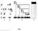 Fig. 02 - Detection and destruction of cancer cells using programmed genetic vectors