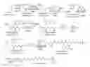 Fig. 01 - COMPOUND AND METHOD FOR THE TREATMENT OF PAIN
