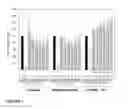 Fig. 02 - SELECTIVE ANDROGEN RECEPTOR MODULATORS FOR TREATING DIABETES