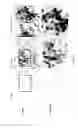 Fig. 06 - Hydroxybutyrate ester and medical use thereof