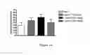 Fig. 02 - IMPROVEMENT OF NORMAL COGNITIVE FUNCTION