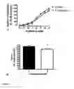 Fig. 08 - Inhibitors