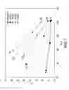 Fig. 08 - Pigment compositions with improved sparking effect
