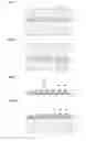 Fig. 02 - Process for producing photocurable material, photocurable material and article
