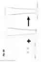 Fig. 35 - High throughput nucleic acid sequencing by expansion