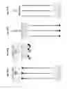 Fig. 49 - High throughput nucleic acid sequencing by expansion