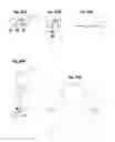 Fig. 71 - High throughput nucleic acid sequencing by expansion