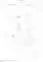 Fig. 07 - Melanocortin receptor agonists