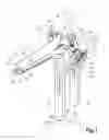 Fig. 02 - Examination Apparatus