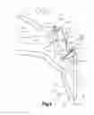Fig. 05 - Examination Apparatus