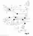 Fig. 19 - Examination Apparatus