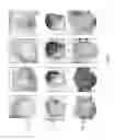 Fig. 08 - Assessment and classification system
