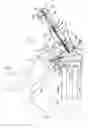 Fig. 02 - Shoulder orthorsis