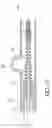 Fig. 09 - VARIABLE FLEXIBILITY CATHETER
