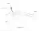 Fig. 43 - Orthopaedic plate and screw assembly