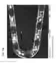 Fig. 44 - Flat process of preparing drug eluting stents