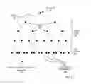 Fig. 06 - Performing a scatterv operation on a hierarchical tree network optimized for collective operations