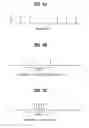 Fig. 12 - Encoding uplink acknowledgments to downlink transmissions