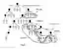 Fig. 04 - Common clock path pessimism analysis for circuit designs using clock tree networks