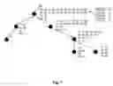 Fig. 08 - Common clock path pessimism analysis for circuit designs using clock tree networks
