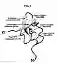 Fig. 05 - Insecticidal compounds and methods for selection thereof