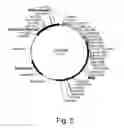 Fig. 07 - Polypeptides having xylanase activity and polynucleotides thereof