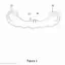 Fig. 03 - Flexible face mask apparatus